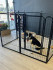 HHFRescue Adoption Center