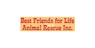 Best friends for life animal rescue