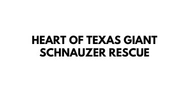 Heart of Texas Giant Schnauzer Rescue