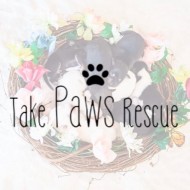 Take Paws Rescue