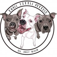 Three Little Pitties All Breed Rescue