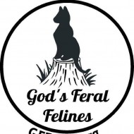 God's Feral Felines, Inc.