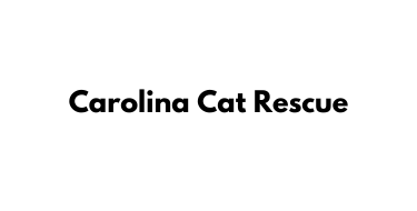 Carolina Cat Rescue