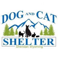 Dog and Cat Shelter