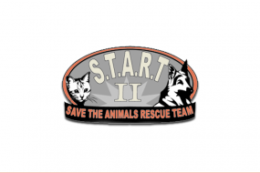Save the Animals Rescue Team II