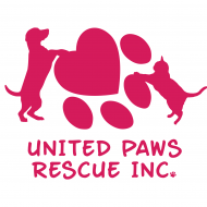 United Paws Rescue