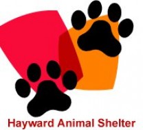 Hayward Animal Shelter
