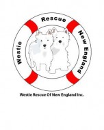 Westie Rescue of New England Inc