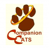 Companion Cats