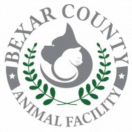Bexar County Animal Facility