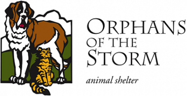 Orphans of the Storm