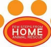 Few steps from home animal rescue