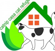 Catnip Casa Cat Refuge Catnip Casa Cat Refuge