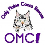 Only Maine Coons Rescue