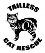 Tailless Cat Rescue Tailless Cat Rescue