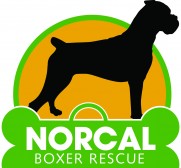 NorCal Boxer Rescue NorCal Boxer Rescue