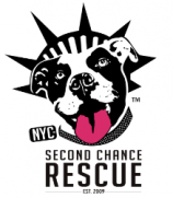 Second Chance Rescue NYC Dogs