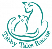 Tabby Tales Rescue
