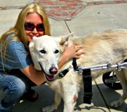 The Kris Kelly Foundation The Kris Kelly Foundation