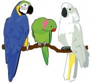The Refuge for Saving the Wildlife, Inc.