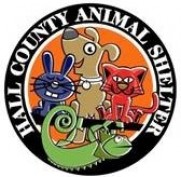 Hall County Animal Shelter Hall County Animal Shelter