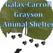 Galax Carroll Grayson Animal Shelter Galax Carroll Grayson Animal Shelter