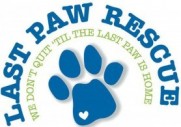 Last Paw Rescue 