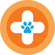 Spay Neuter Network Spay Neuter Network