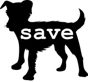 SAVEDOG Project, Inc. SAVEDOG Project, Inc.