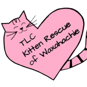 TLC Kitten Rescue Of Waxahachie TLC Kitten Rescue Of Waxahachie
