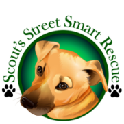 Scouts Street Smart Rescue Scouts Street Smart Rescue