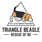 Leann-Triangle Beagle Rescue NC Tenbusch