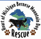 Heart of Michigan Bernese Mountain Dog Rescue