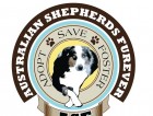 Nancy Gonzalez Australian Shepherds Furever